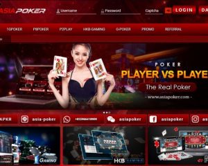 AsiaPoker - Situs Judi Poker Terpercaya